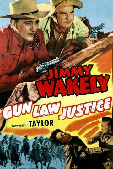 Gun Law Justice Poster