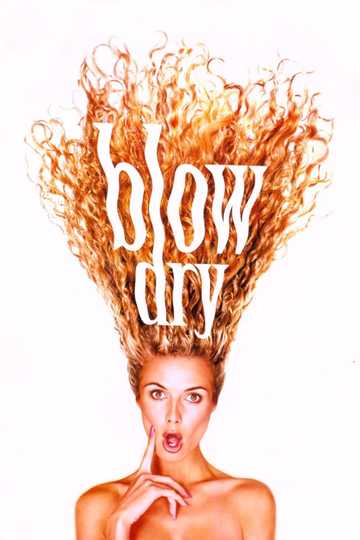 Blow Dry Poster