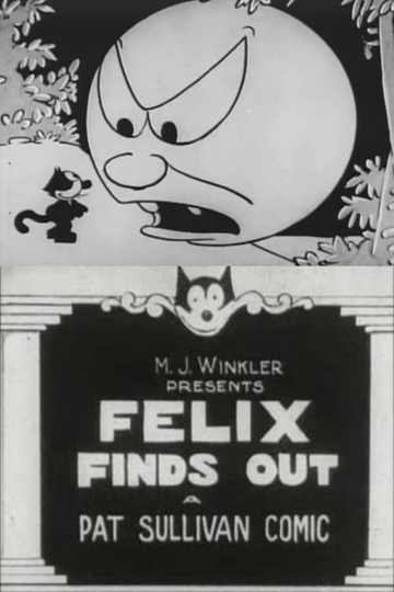 Felix Finds Out Poster