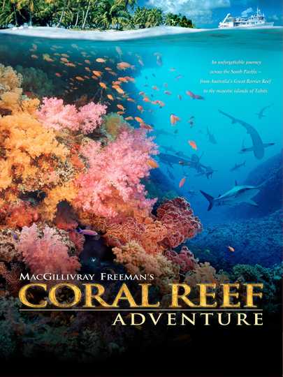 Coral Reef Adventure Poster