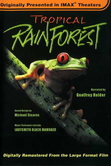 Tropical Rainforest Poster