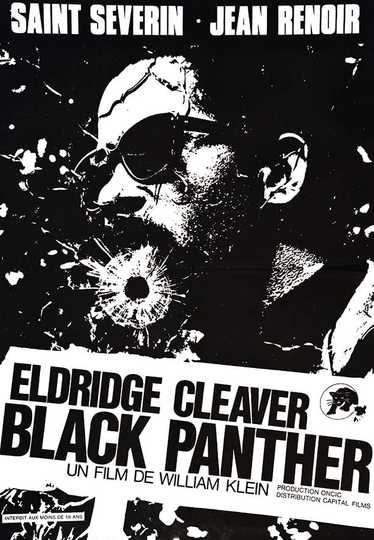 Eldridge Cleaver, Black Panther Poster