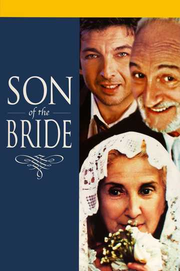 Son of the Bride Poster