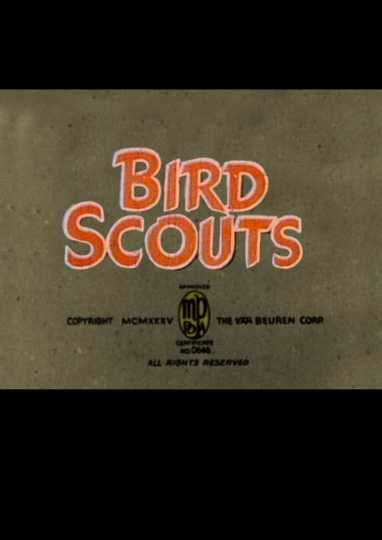 Bird Scouts Poster