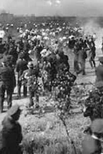 Republic Steel Strike Riots Newsreel Footage Poster