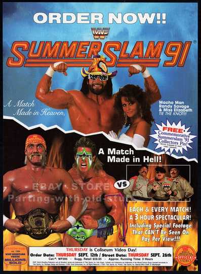 WWE SummerSlam 1991 Poster