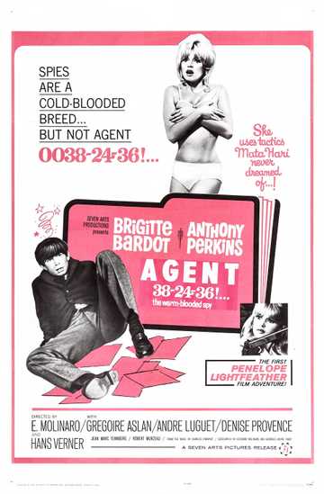 A Ravishing Idiot Poster
