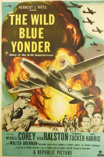 The Wild Blue Yonder Poster