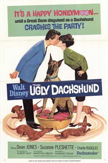 The Ugly Dachshund Poster