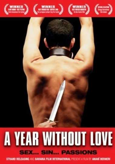 A Year Without Love Poster