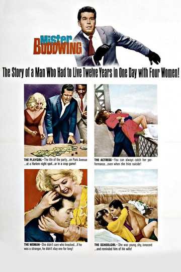 Mister Buddwing Poster