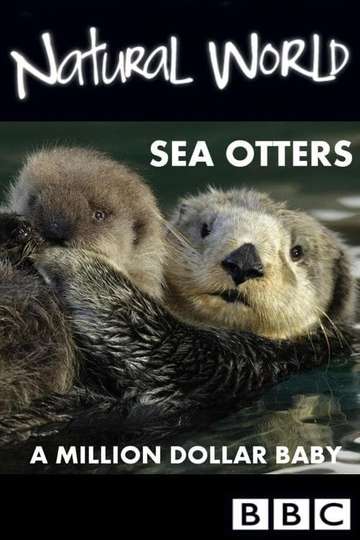 Sea Otters: A Million Dollar Baby Poster