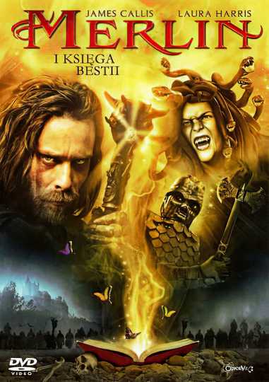 Merlin and the Book of Beasts Poster