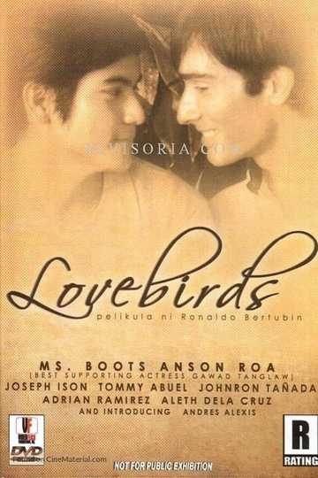 Lovebirds Poster