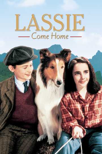 Lassie Come Home 1943 Movie Moviefone