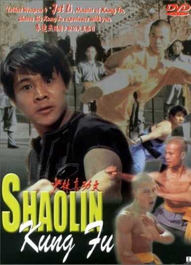 Li Lian Jie's Shaolin Kung Fu Poster