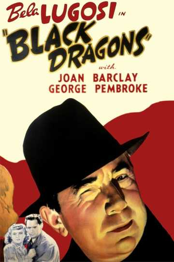 Black Dragons Poster