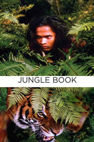 Jungle Book Poster