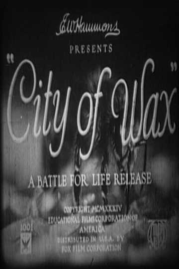 City of Wax Poster
