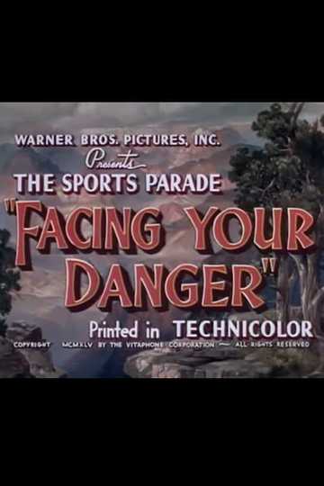 Facing Your Danger Poster
