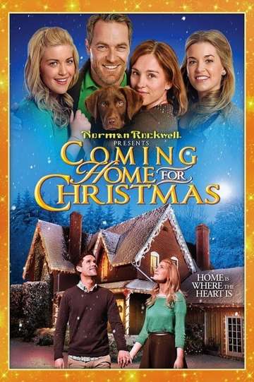 Coming Home For Christmas 2013 - Movie Moviefone