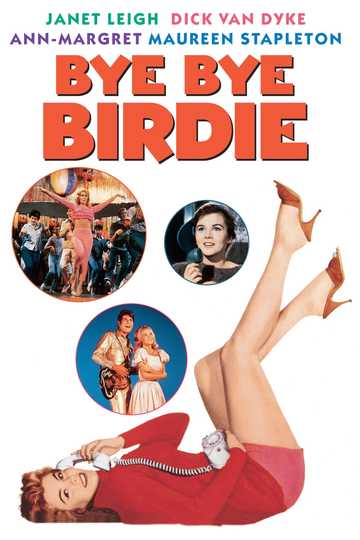 Bye Bye Birdie Poster