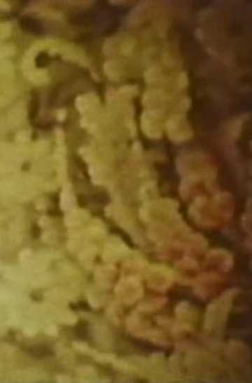 Song 6 Poster