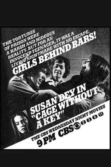 Cage Without a Key Poster
