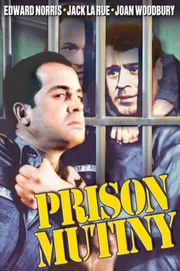 You Can't Beat the Law Poster