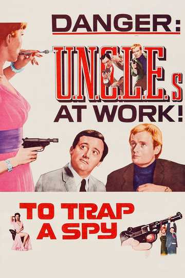 To Trap a Spy Poster