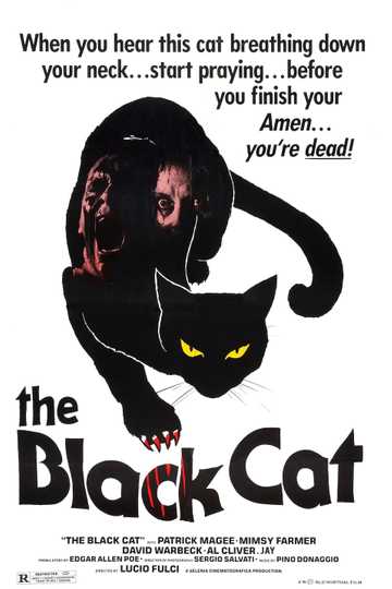 The Black Cat Poster