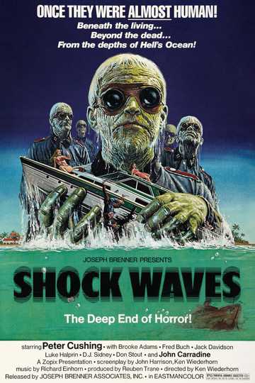 Shock Waves Poster
