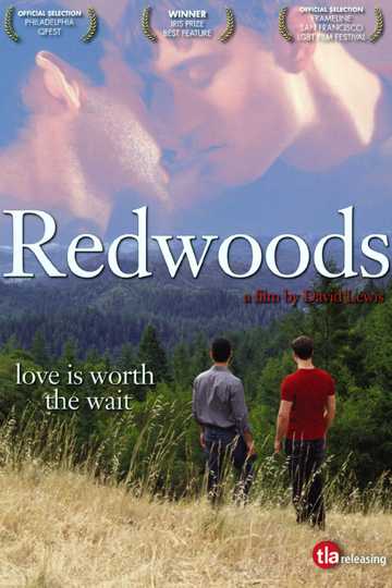 Redwoods Poster