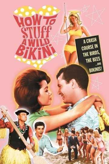 How to Stuff a Wild Bikini Poster