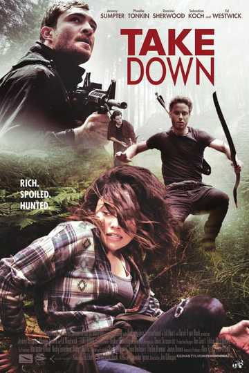 Take Down Poster
