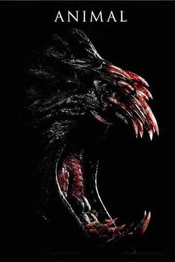 Animal Poster