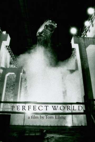 Perfect World Poster