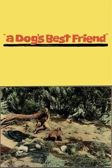 A Dog's Best Friend Poster