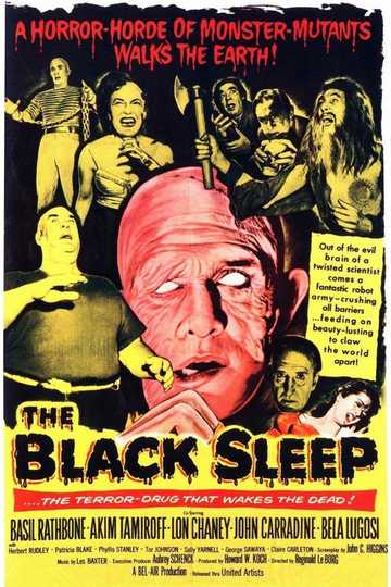 The Black Sleep Poster