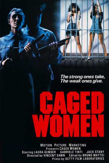 Violence in a Women's Prison Poster