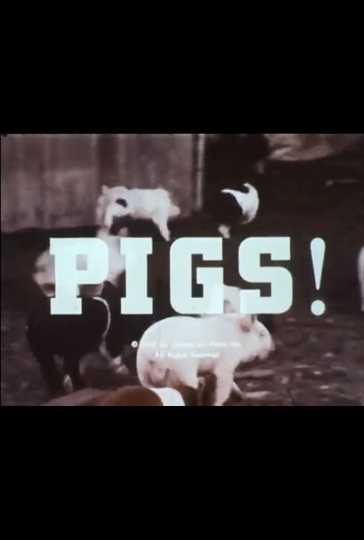Pigs! Poster