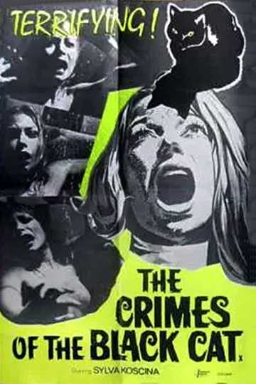 The Crimes of the Black Cat Poster