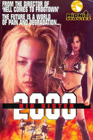 Big Sister 2000 Poster
