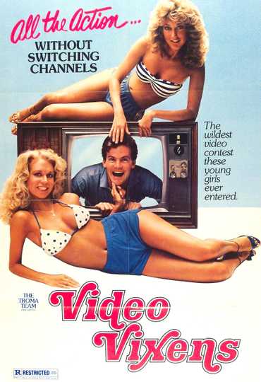 Video Vixens Poster