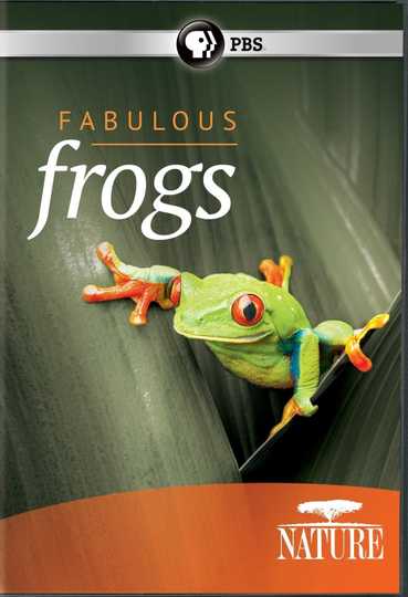Fabulous Frogs Poster