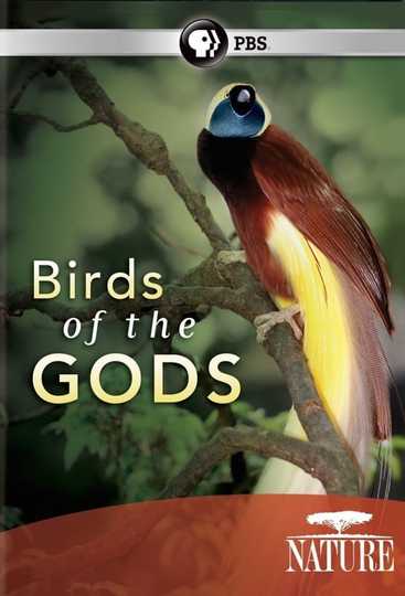 Nature: Birds of the Gods Poster