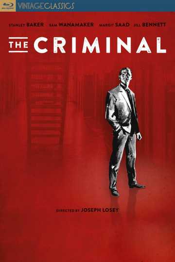 The Criminal Poster