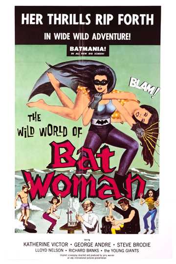 The Wild World of Batwoman Poster