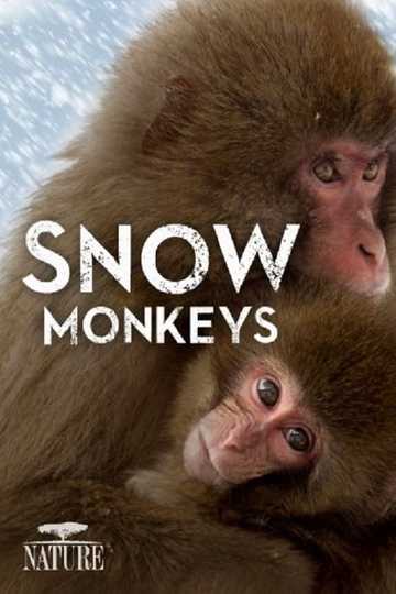 Snow Monkeys Poster