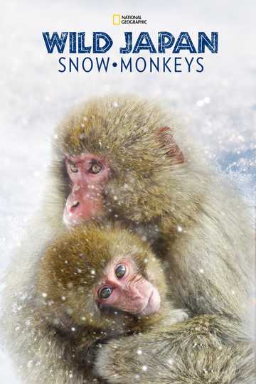 Wild Japan: Snow Monkeys Poster